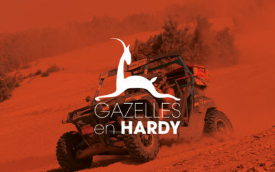 Conception de logo, site web, teeshirt, PLV pour association | Les gazelles en Hardy | Savoie