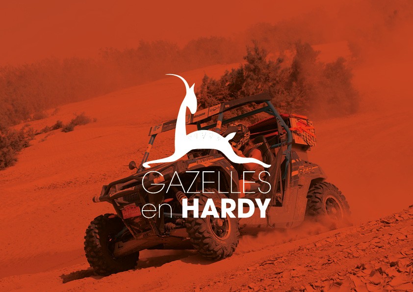 Conception de logo, site web, teeshirt, PLV pour association | Les gazelles en Hardy | Savoie