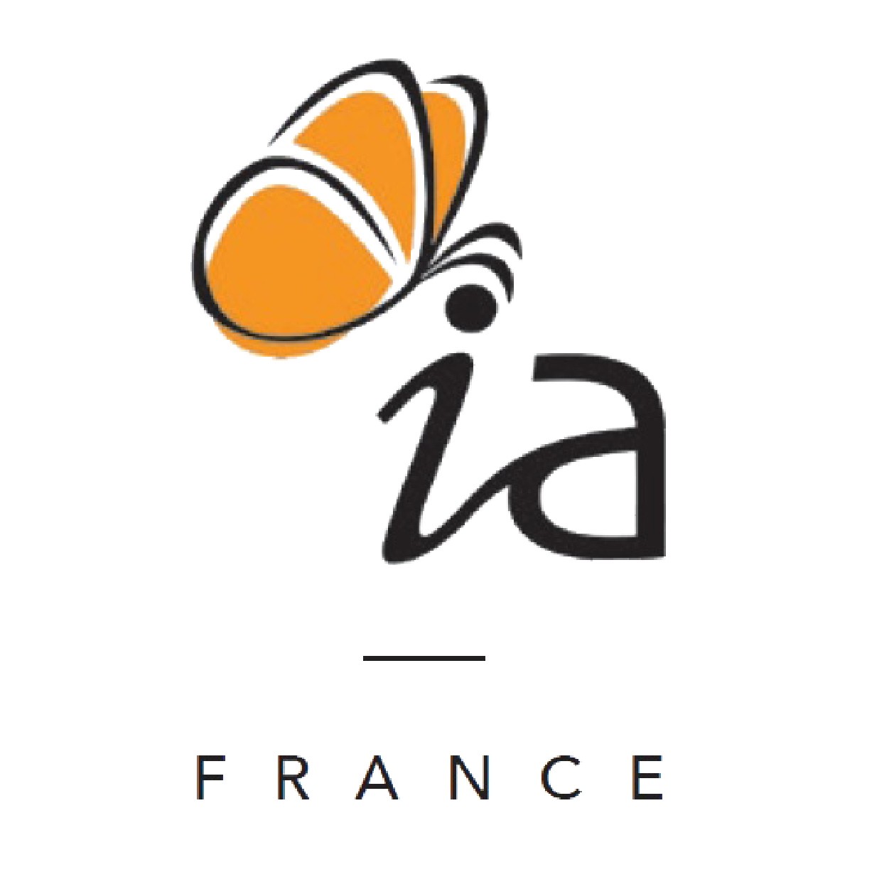 Conception de site internet pour IA France mobilier- Logo - Clicher