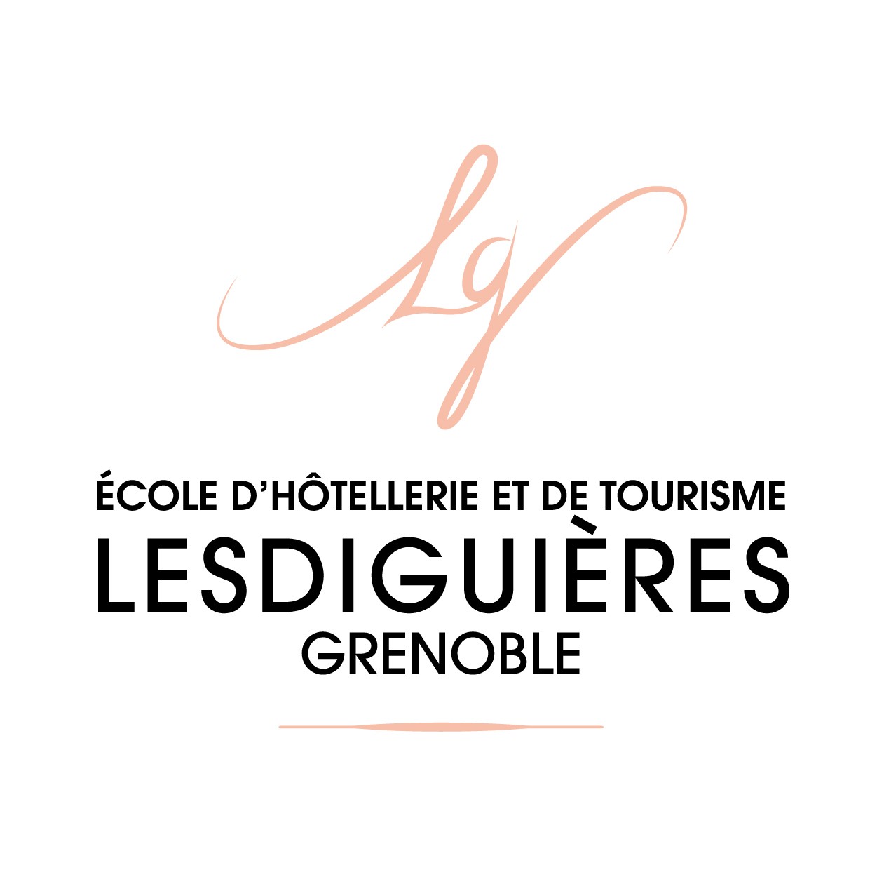 Creation site internet pour hotel restaurant LESDIGUIERES - Grenoble