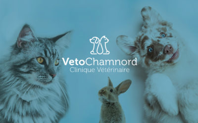 Création de logo et enseigne pour la Clinique Vétérinaire | Véto Chamnord | Chambéry – Savoie