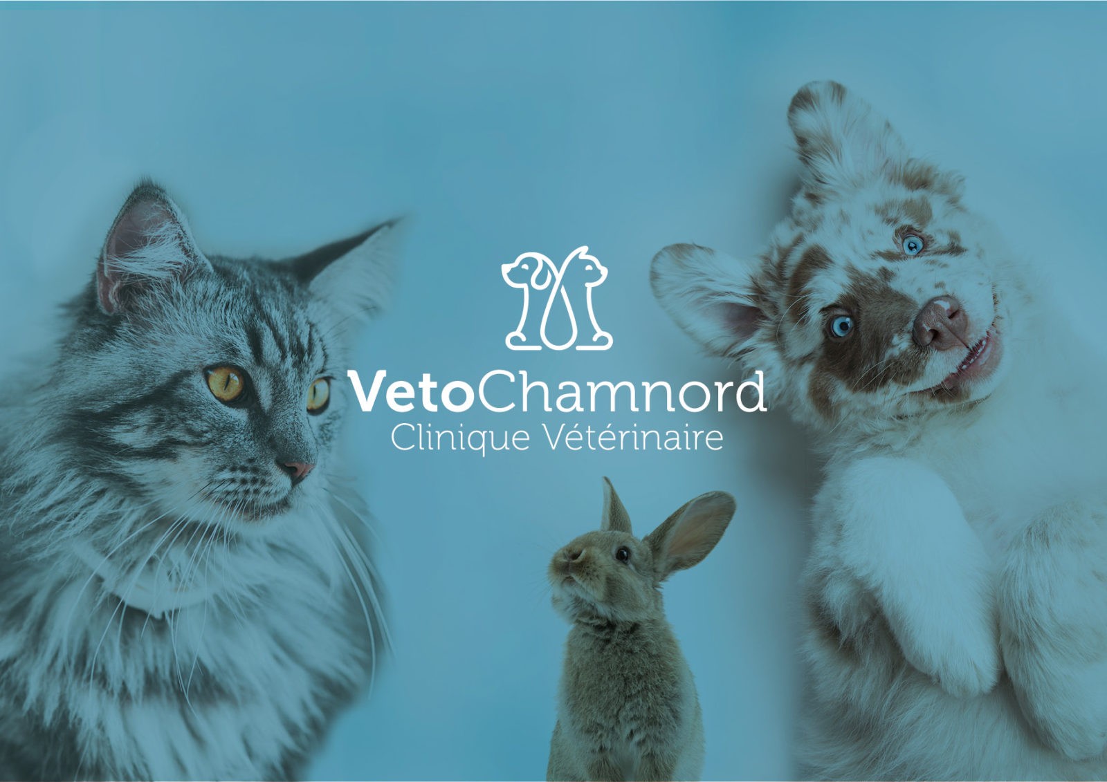 Création de logo et enseigne pour la Clinique Vétérinaire | Véto Chamnord | Chambéry – Savoie