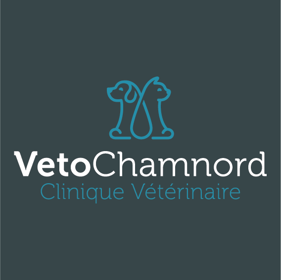 Création de logo pour la Clinique Vétérinaire | Véto Chamnord | Chambéry - Savoie