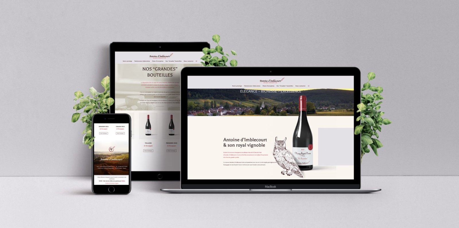 Creation site internet vin de bourgogne