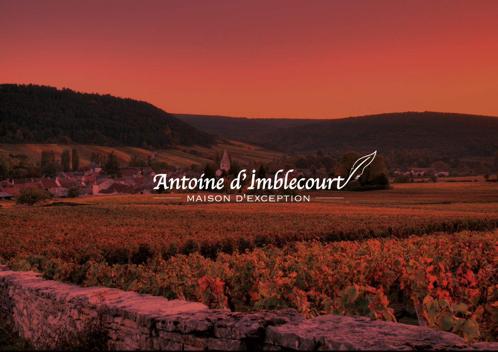 Création d’identité de marque et site internet Antoine d’Imblecourt vins de Bourgogne