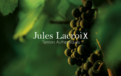 Création de logo et site internet Jules Lacroix vins de Bourgogne