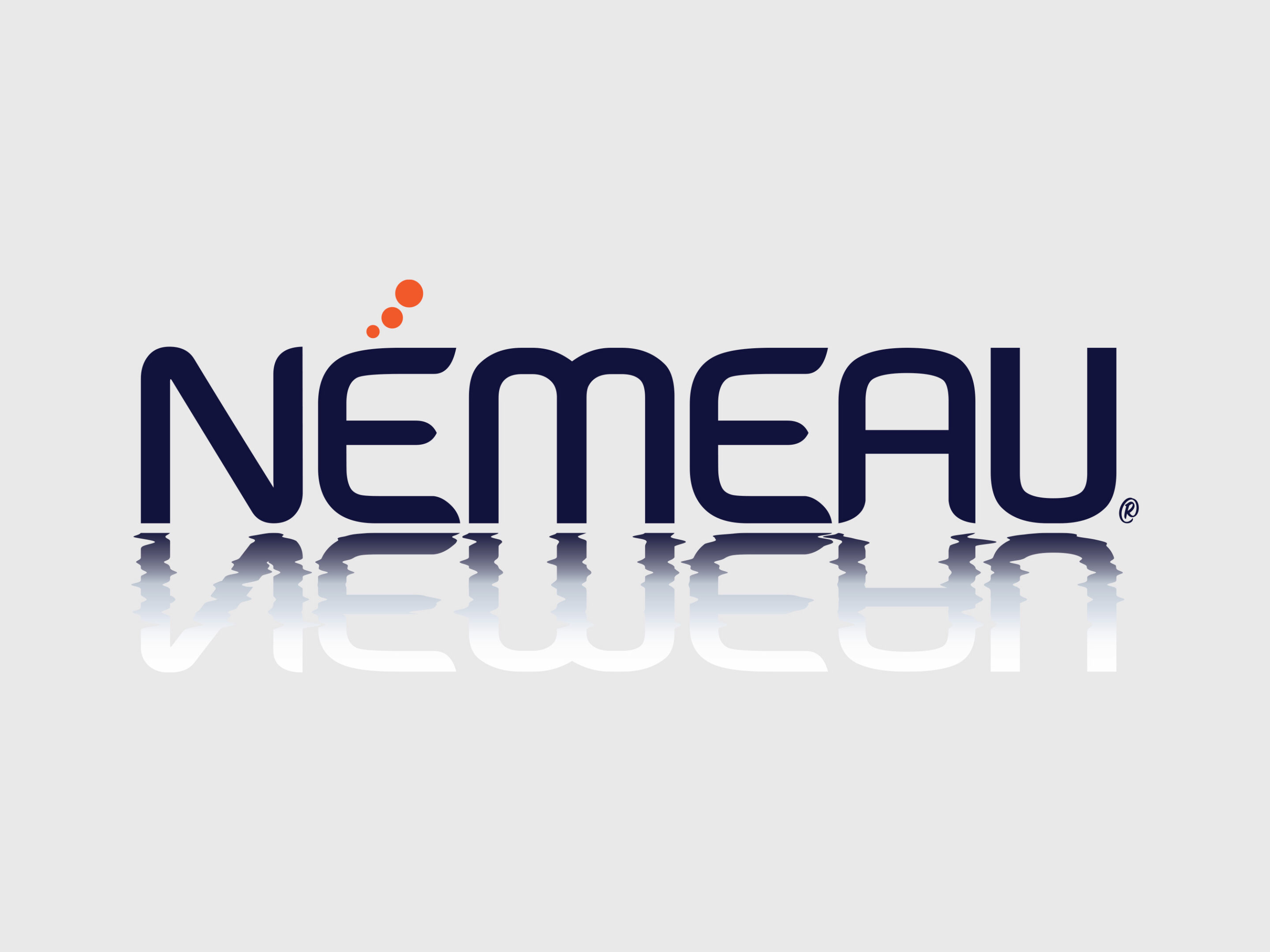 logo NÉMEAU, identité visuelle, communication digitale, site web, Google My Business, référencement local, SEO local, visibilité en ligne, marketing local, Clicher Studio, Savoie